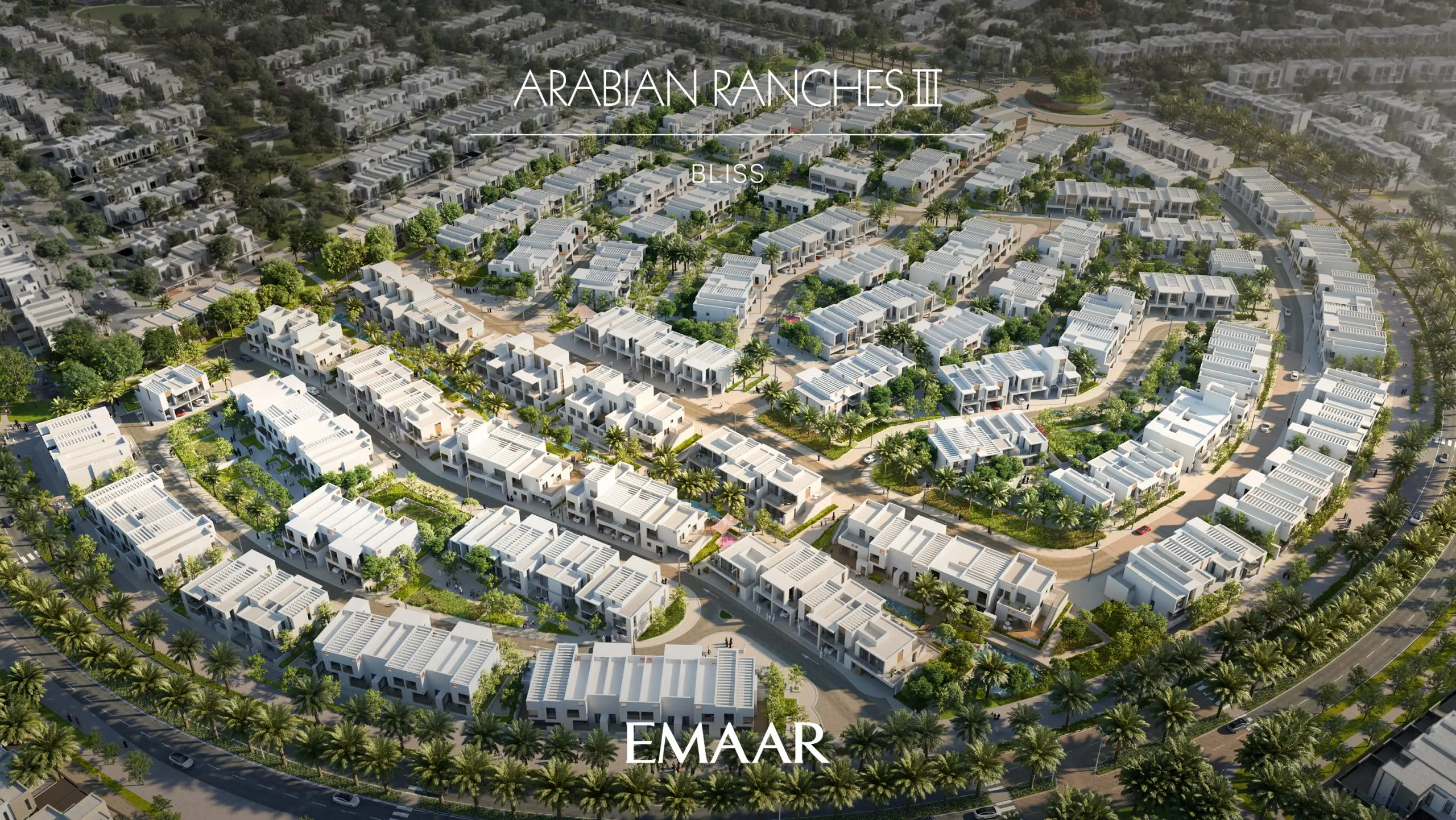 Lifestyle Content Image